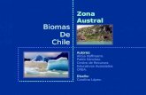 Bioma de Chile Zona Austral