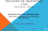 Proyectos de inversion ciclo, tipos y estructura