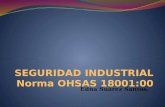 Seguridad industrial norma ohsas 18001