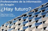 Futuro Del Profesional De La Informacion En Aragon Fesabid 2009