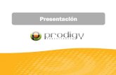 Prodigy Consultores. Presentación corporativa 2013