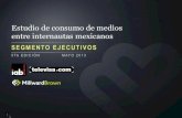 Segmento Ejecutivos: Estudio de Consumo de Medios entre Internautas Mexicanos