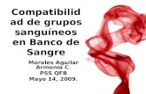 Compatibilidad De Grupos SanguíNeos En Banco De Sangre