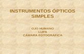 El ojo y los Instrumentos Opticos