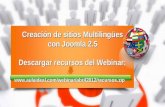 Webinar: Creación de sitios multilingues con joomla 2.5  (28 abril 2012)