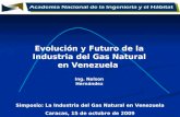 Evolucion Y Futuro De La Industria Del Gas En Venezuela