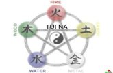 Teoría elemental de la medicina taosta