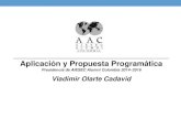 Propuesta Programática AIESEC Alumni Colombia 2014-2016