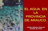 Agua y Comunidades Mapuches: Cosmovisión y Propuestas. Adolfo Millabur, alcalde de Tirúa.