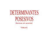 Determinantes posesivos (formas sin acento) (tablas)