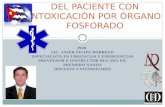 PROCESO DE ATENCION DE ENFERMERIA EN PACIENTE INTOXICADO CON ORGANOS FOSFORADO.