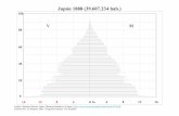 Pirámide demográfica de Japón (1888 - 2009)