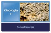 Geologia 11   rochas sedimentares  - biogénicos