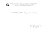 Ferrer- Mecanica Cuantica.pdf