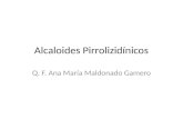 alcaloides pirrozilidinicos