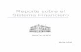 Reporte Banco Mex Jul 09