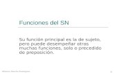 Alfonso Sancho Rodríguez 1 Funciones del SN Su función principal es la de sujeto, pero puede desempeñar otras muchas funciones, solo o precedido de preposición.