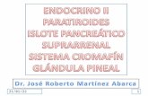 14/11/20131. Que el estudiante: Indicar la localización y morfología de la glándula paratiroides. Describir la estructura histológica de la glándula paratiroides.