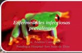 Enfermedades infecciosas prevalentes Dra. Andrea Caamaño Patología Hospital San Juan de Dios.