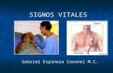 SIGNOS VITALES Gabriel Espinoza Coronel M.C. SIGNOS VITALES Son los fenómenos o manifestaciones objetivas que se pueden percibir y medir en un organismo.