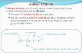 AMINO ACIDOS Amino ácidos son las unidades estructurales de lo que están construídas las proteínas. Existen 20 amino ácidos comunes. Se les llama -amino.