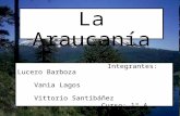 La Araucanía Integrantes: Lucero Barboza Vania Lagos Vittorio Santibáñez Curso: 1º A Fecha de entrega: 08 de septiembre del 2009.