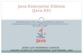 Introducción a los conceptos básicos sobre la programación Java para aplicaciones de Internet con Servlets y JSP Java Enterprise Edition (Java EE) JOSÉ
