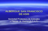 ALBERGUE SAN FRANCISCO DE ASIS Sociedad Protectora de Animales y Plantas de Madrid (S.P.A.P.)