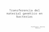 Transferencia del material genético en bacterias Profesora: Karina Brevis.