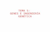 TEMA 5: GENES E INGENIERÍA GENÉTICA. 1. ADN: el material de los genes.