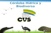 Córdoba Hídrica y Biodiversa 1. Inundación Corregimiento Cecilia.