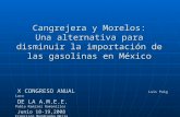 Cangrejera y Morelos: Una alternativa para disminuir la importación de las gasolinas en México X CONGRESO ANUAL Luis Puig Lara X CONGRESO ANUAL Luis Puig.