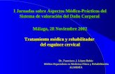 I Jornadas sobre Aspectos Médico-Prácticos del Sistema de valoración del Daño Corporal Málaga, 28 Noviembre 2002 Tratamiento médico y rehabilitador del.