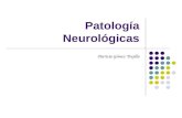 Patología Neurológicas Patricia Gómez Trujillo. Neuropsicología Neuropedagogía Trastornos adquirido: tumores, traumas, ACV Trastornos del Aprendizaje.