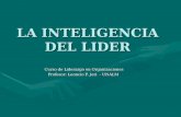 LA INTELIGENCIA DEL LIDER Curso de Liderazgo en Organizaciones Profesor: Leoncio F. Jeri - UNALM