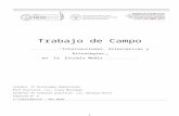 Trabajo de Campo Intervenciones, Alternativas y Estrategias.doc