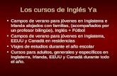 Los cursos de Inglés Ya Campos de verano para jóvenes en Inglaterra e Irlanda alojados con familias, (acompañados por un profesor bilingüe), Inglés + Fútbol.