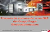 Proceso de conversión a las NIIF del Grupo Fagor Electrodomésticos XIV Congreso AECA, Valencia, 19 de Septiembre 2007.