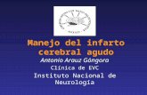 Manejo del infarto cerebral agudo Antonio Arauz Góngora Clínica de EVC Instituto Nacional de Neurología.