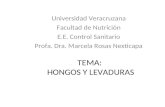 TEMA: HONGOS Y LEVADURAS Universidad Veracruzana Facultad de Nutrición E.E. Control Sanitario Profa. Dra. Marcela Rosas Nexticapa.