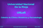 H.E.B. Universidad Nacional de la RiojaMarzo 2010 Universidad Nacional De la Rioja UNLaR Cátedra de Clínica Obstétrica y Perinatología.