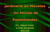 Jardinería en Macetas – Un Mundo de Posibilidades Por Wayne Porter & Frida Bonaparte MSU-ES.