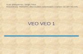 VEO VEO 1 Autor pictogramas: Sergio Palao Procedencia: ARASAAC ( Licencia: CC (BY-NC-SA)