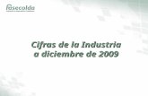 Cifras de la Industria a diciembre de 2009. Información por tipo de compañía.