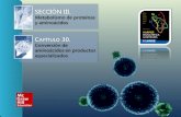 SECCIÓN III. Metabolismo de proteínas y aminoácidos C APÍTULO 30. Conversión de aminoácidos en productos especializados.