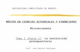 UNIVERSIDAD COMPLUTENSE DE MADRID MÁSTER EN CIENCIAS ACTUARIALES Y FINANCIERAS Microeconomía Tema 1 (Parte 1): La restricción presupuestaria Prof. Juan.
