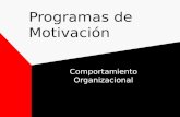 Programas de Motivación Comportamiento Organizacional.