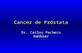 Cancer de Próstata Dr. Carlos Pacheco Gahbler. Epidemiología En México, entre todos los tipos de cáncer, el de próstata ocupa el segundo lugar como causa.