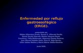 Enfermedad por reflujo gastroesofágico (ERGE). presentada por Néstor Villacobos Verela, Romeo R. Villarreal Sevilla, Daniel Zavala Elizondo, Beatriz Vázquez.