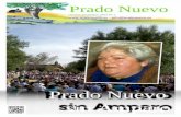 Prado Nuevo Octubre-Diciembre 2012 Nº 1  - info@pradonuevo.es Prado Nuevo sin Amparo.